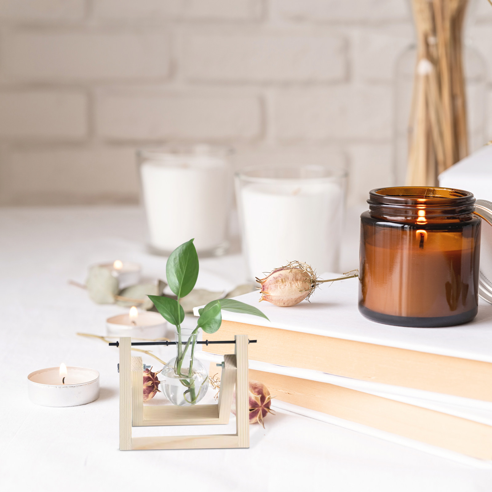 Propagation Station Vase - 10 قطع حامل مزهرية نباتات هيدروبونيك