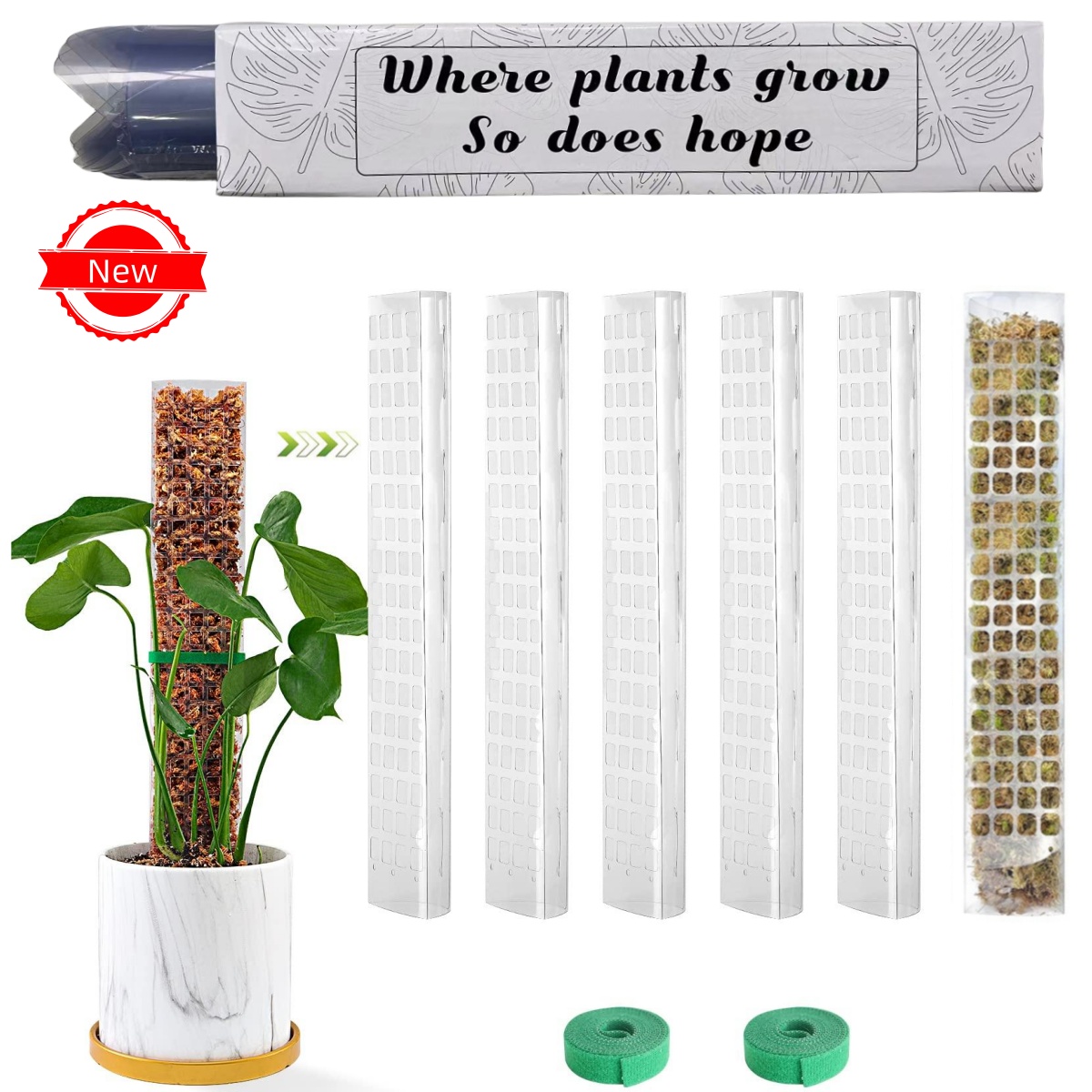Sphagnum Moss Dry - النباتات الطحلب القطب حديقة الموضوع زهرة