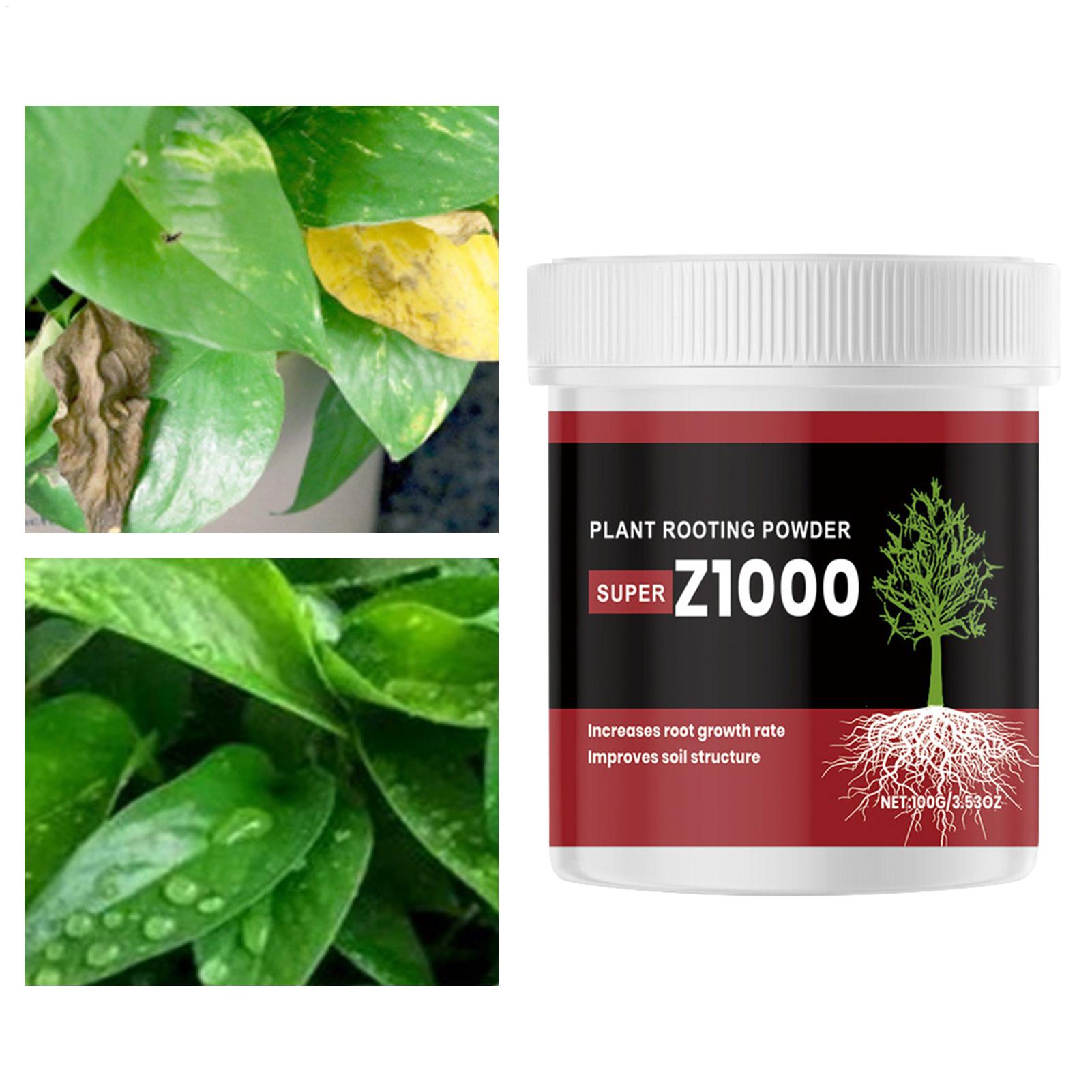 مسحوق هرمون التكاثر للنباتات،  - مراجعة Root Stimulator Liquid وسعره