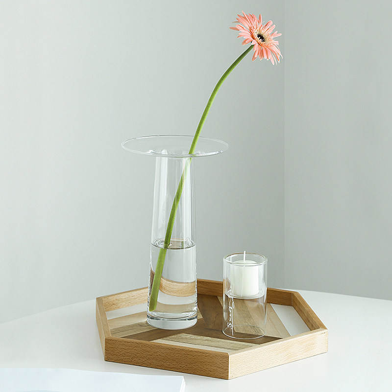 مزهرية زجاجية شفافة على شكل حر - مراجعة Propagation Station Vase وسعره