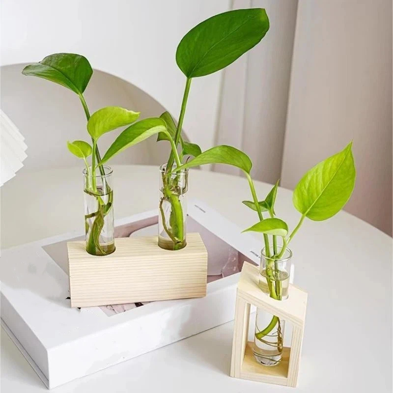 مزهرية زجاجية على شكل أنبوب اخ - مراجعة Propagation Station Vase وسعره