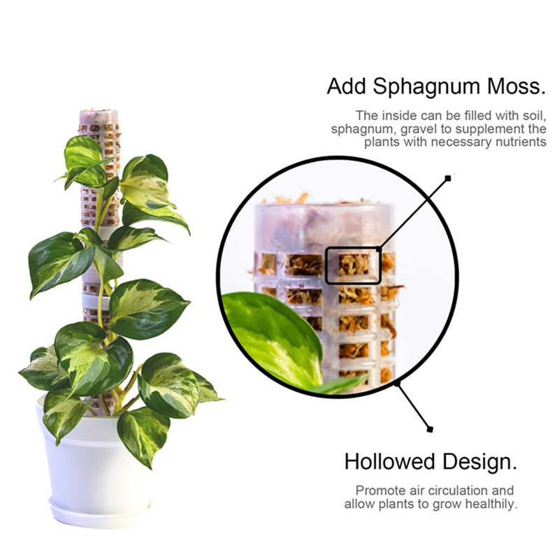 عمود تسلق النباتات من طحلب الس - مراجعة Sphagnum Moss Dry وسعره