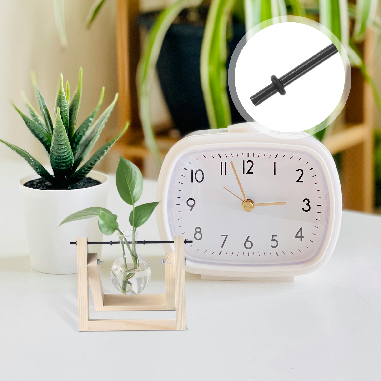 10 قطع حامل مزهرية نباتات هيدر - مراجعة Propagation Station Vase وسعره